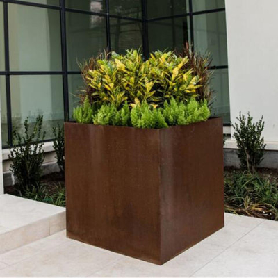 SGS TUV Corten Steel Cube Planter الليزر قطع صدئ الصلب المزارعون دليل على التآكل