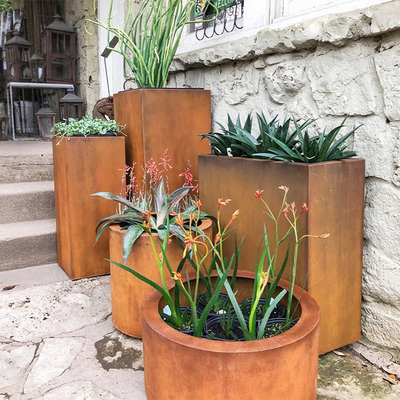 خدمة OEM ODM شعبية كبيرة Corten Steel Tall Planters مقاومة التآكل