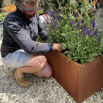 1200 * 500 * 600mm Corten Steel الخضار صناديق الغراس المعدنية الصدئة