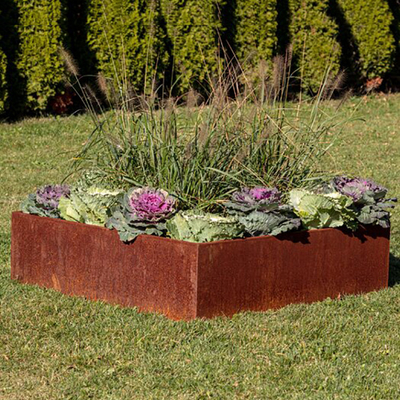 TUV Corten Steel مرتفع حديقة سرير 65l * 65w * 30h سم مخصص مطلي